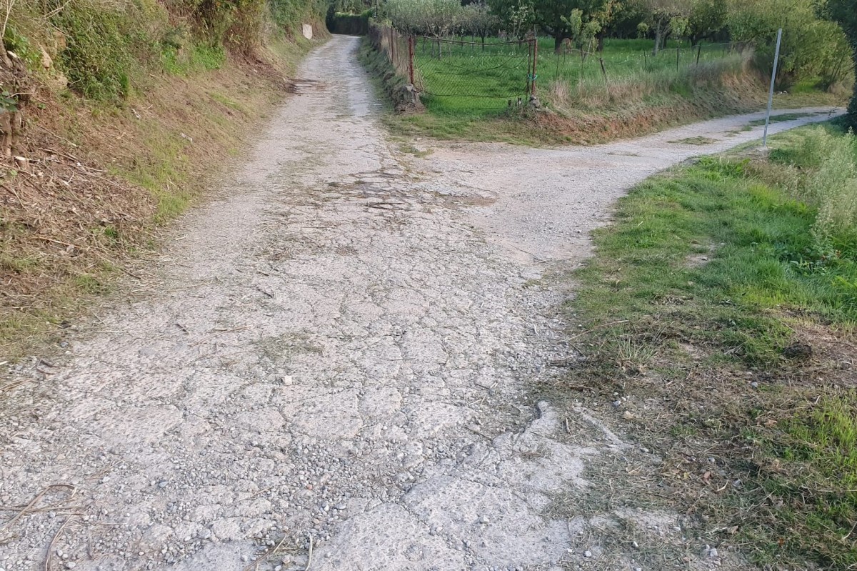 Obres de pavimentació del camí de Mas d’en Bosc 
