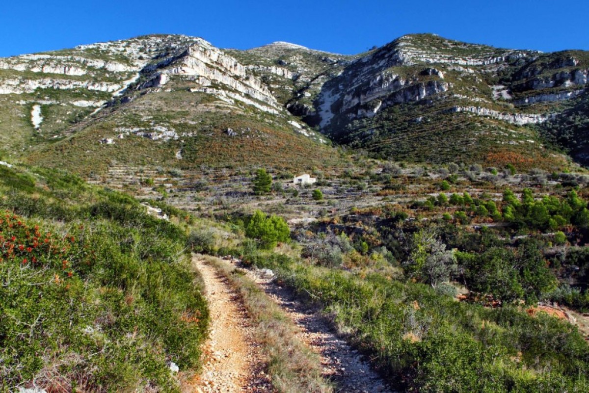 Camí d'accès al Montsià des del terme d'Ulldecona