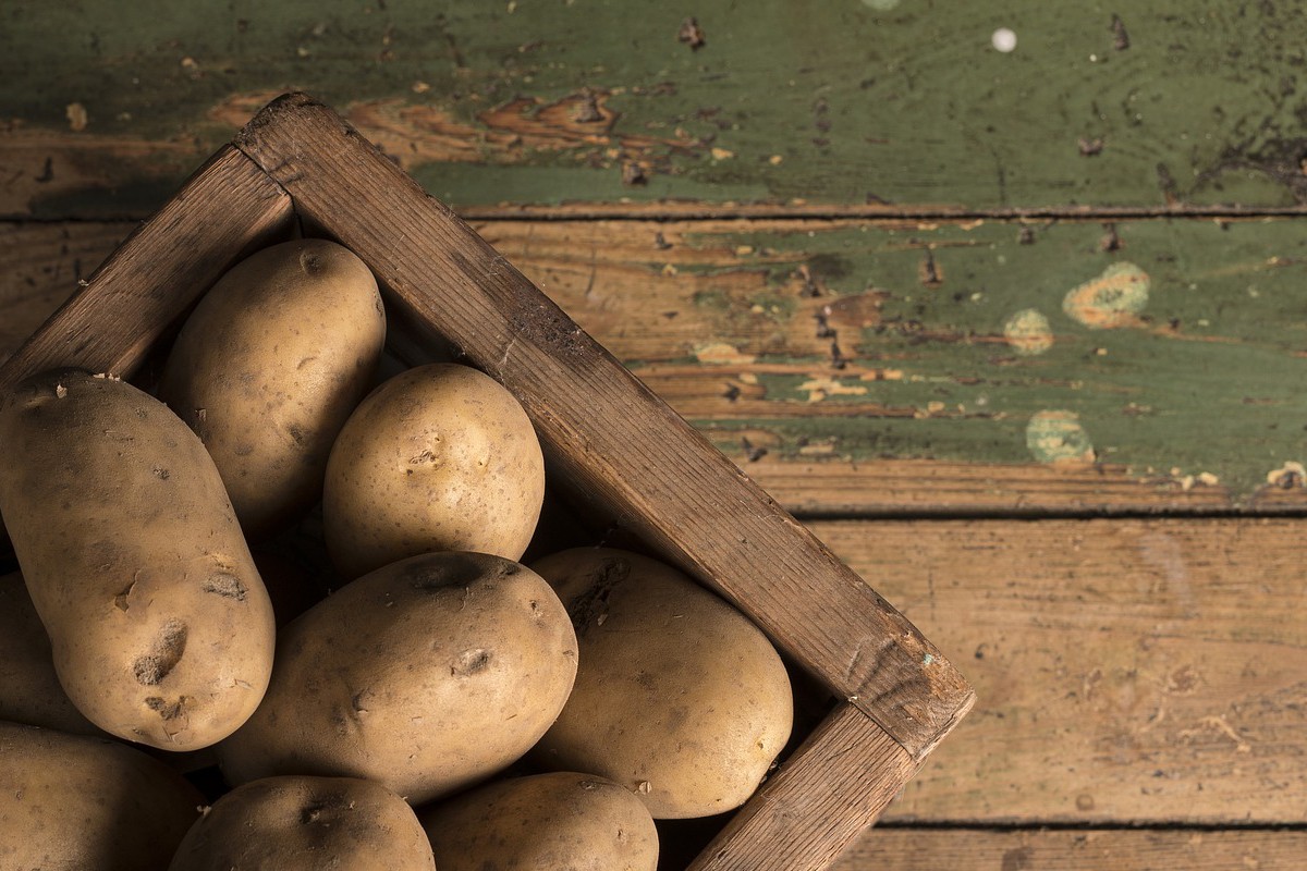 Menjar patates amb brots pot tenir riscos per a la salut