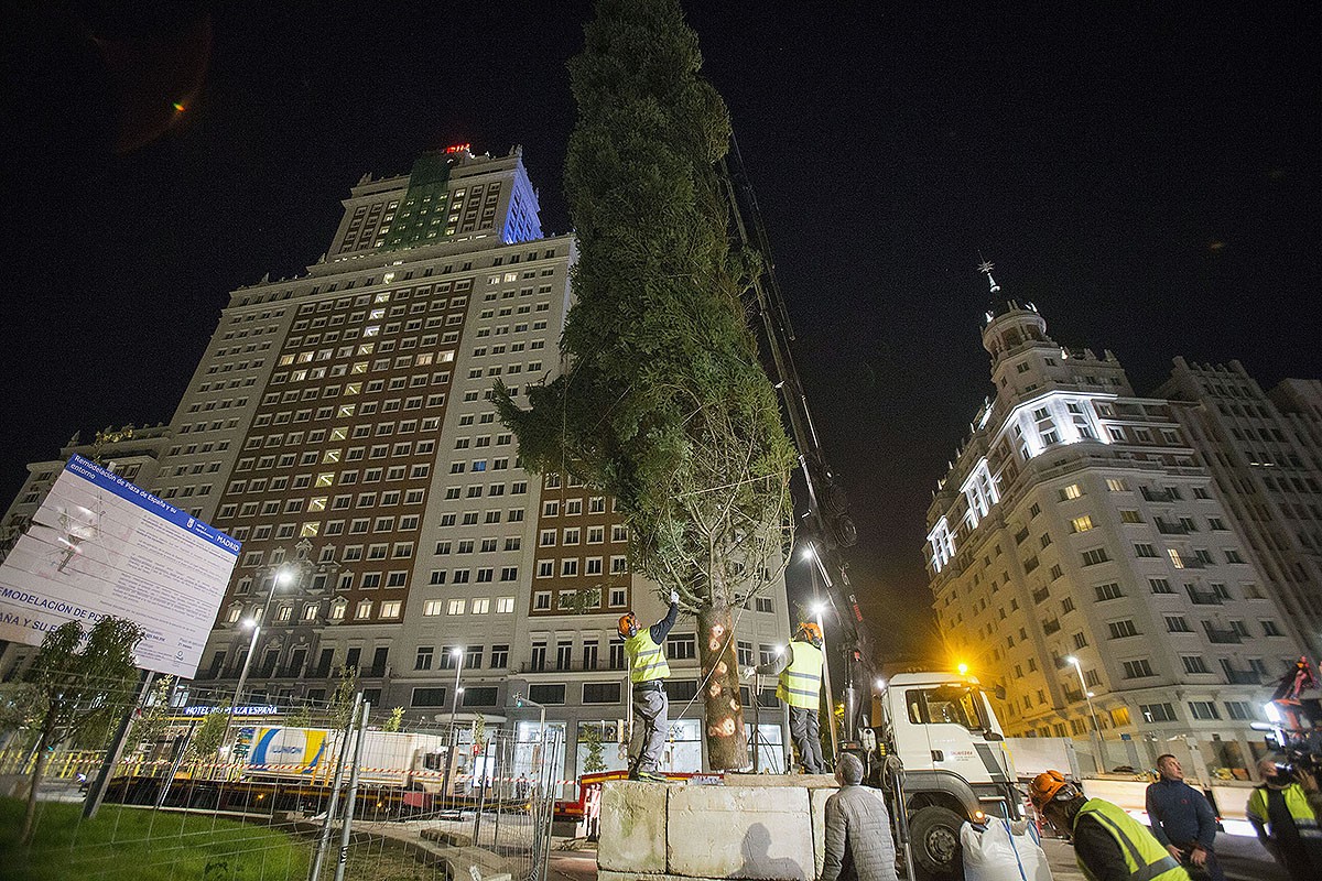 Operaris col·locant l'arbre de Nadal català a Madrid