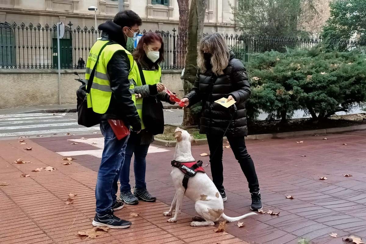 Els dos agents cívics informant la propietària d'un gos