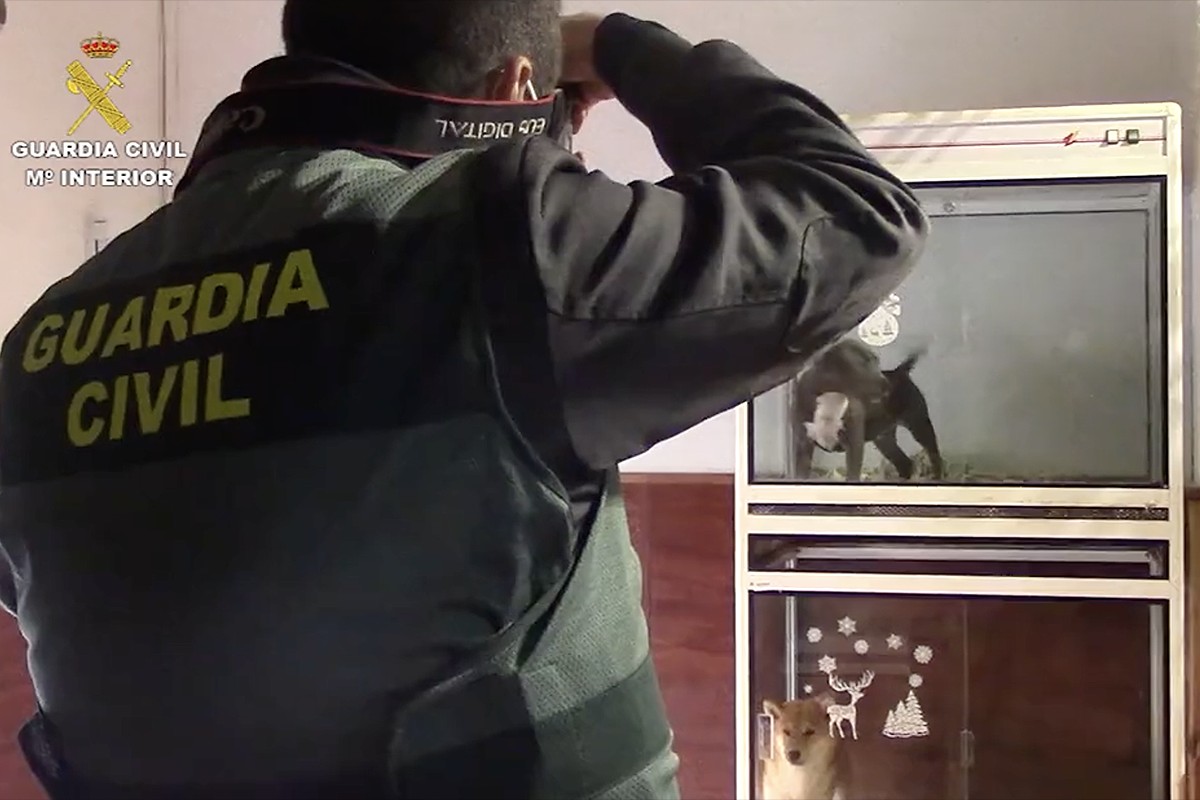 Un agent de la Guàrdia Civil amb dos gossos tancats, en una imatge d’arxiu