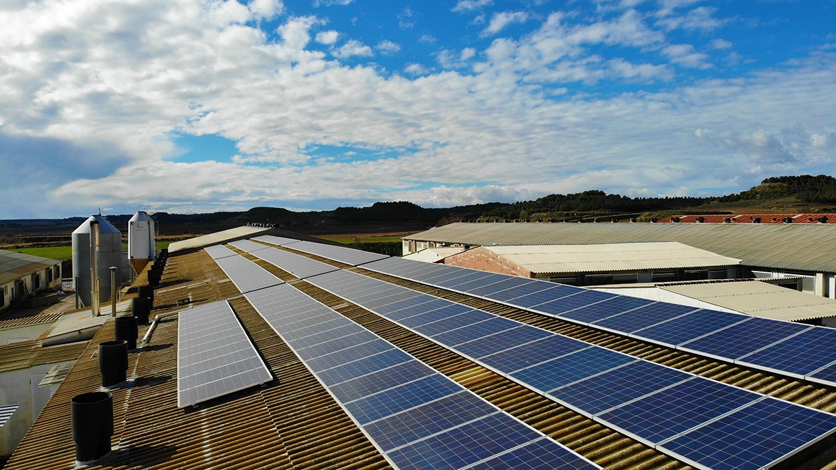 Plaques solars instal·lades a la teulada d'una granja a Flix