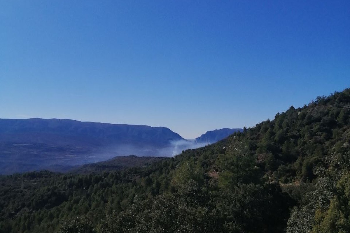 Imatge de la columna de fum de l'incendi