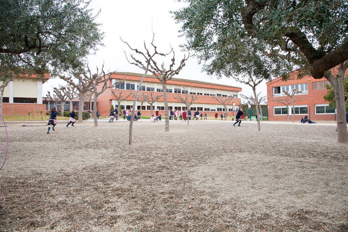 L'escola Aura-Turó