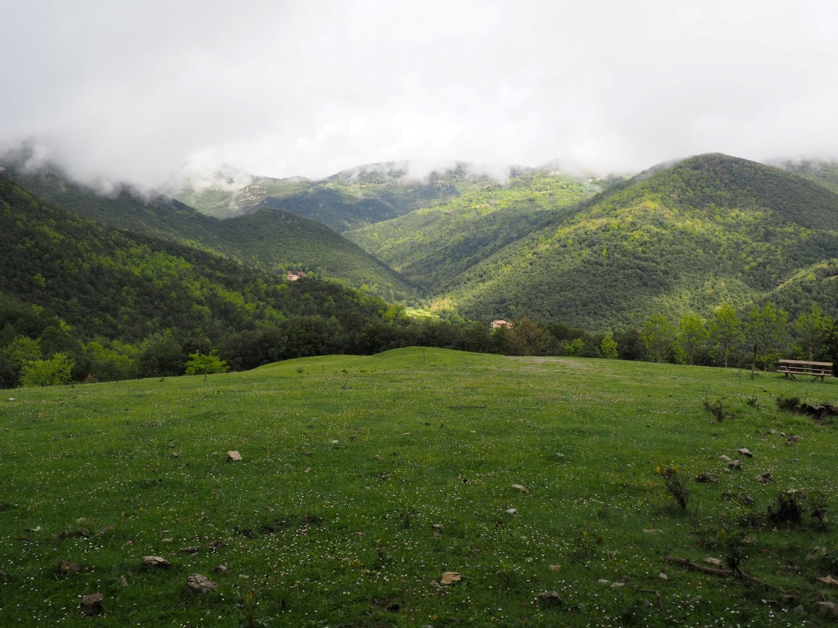 Entorns forestals d'Oix, a l'Espai Natural de l'Alta Garrotxa.