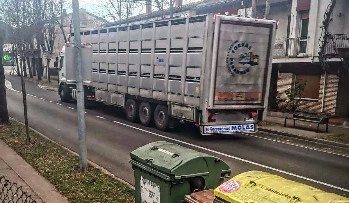 Un camió de transport de bestiar a l'avinguda Sant Jordi d'Olot.