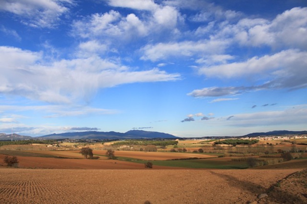 Imatge de l'Espai Rural Gallecs, al Vallès Occidental