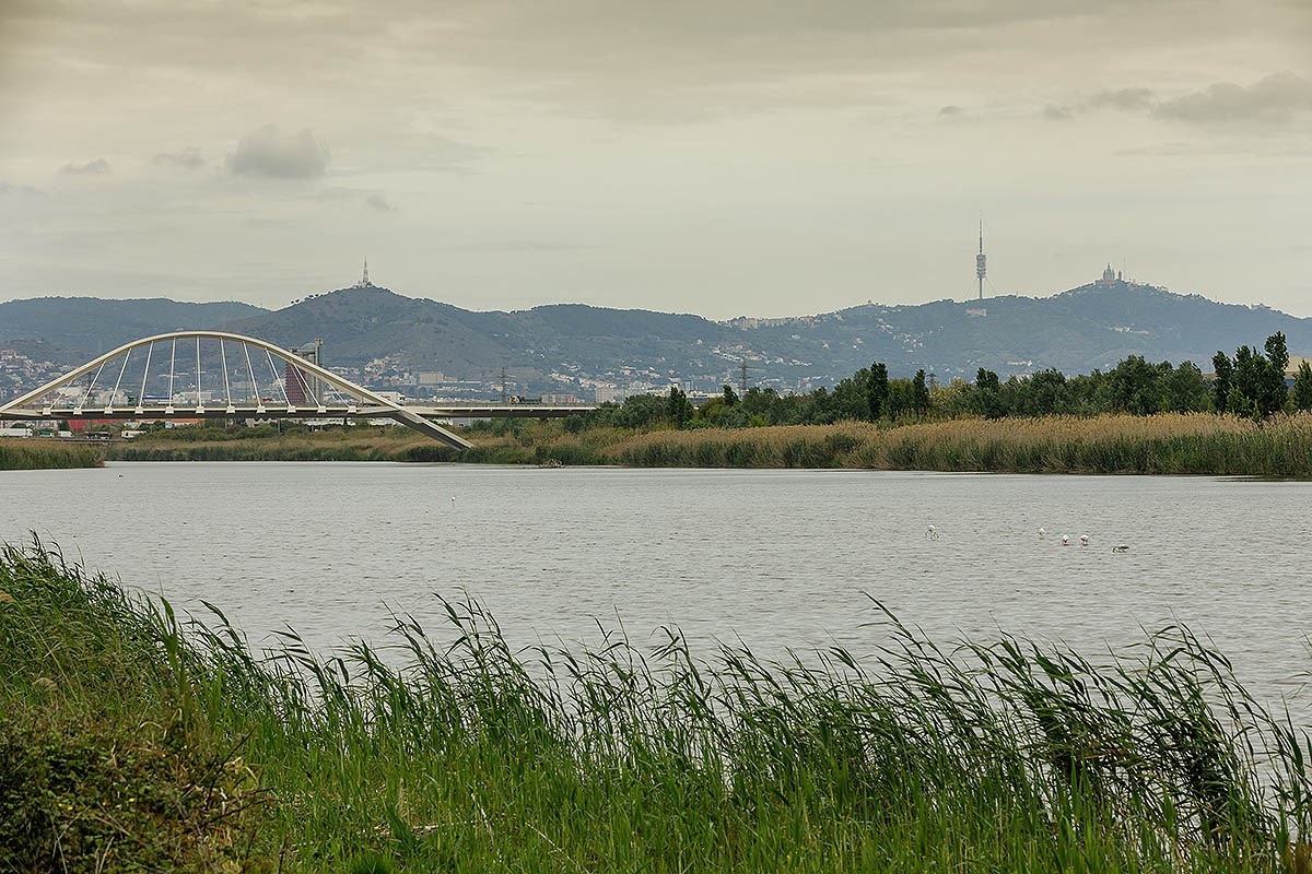 El riu Llobregat