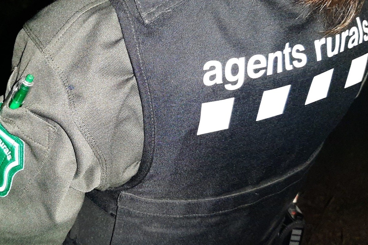 Els infractors estaven caçant al costat de la carretera