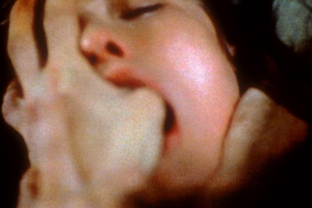 «Sombre», de Philippe Grandrieux, serà un dels films projectats a la mostra Perifèrics de Manresa