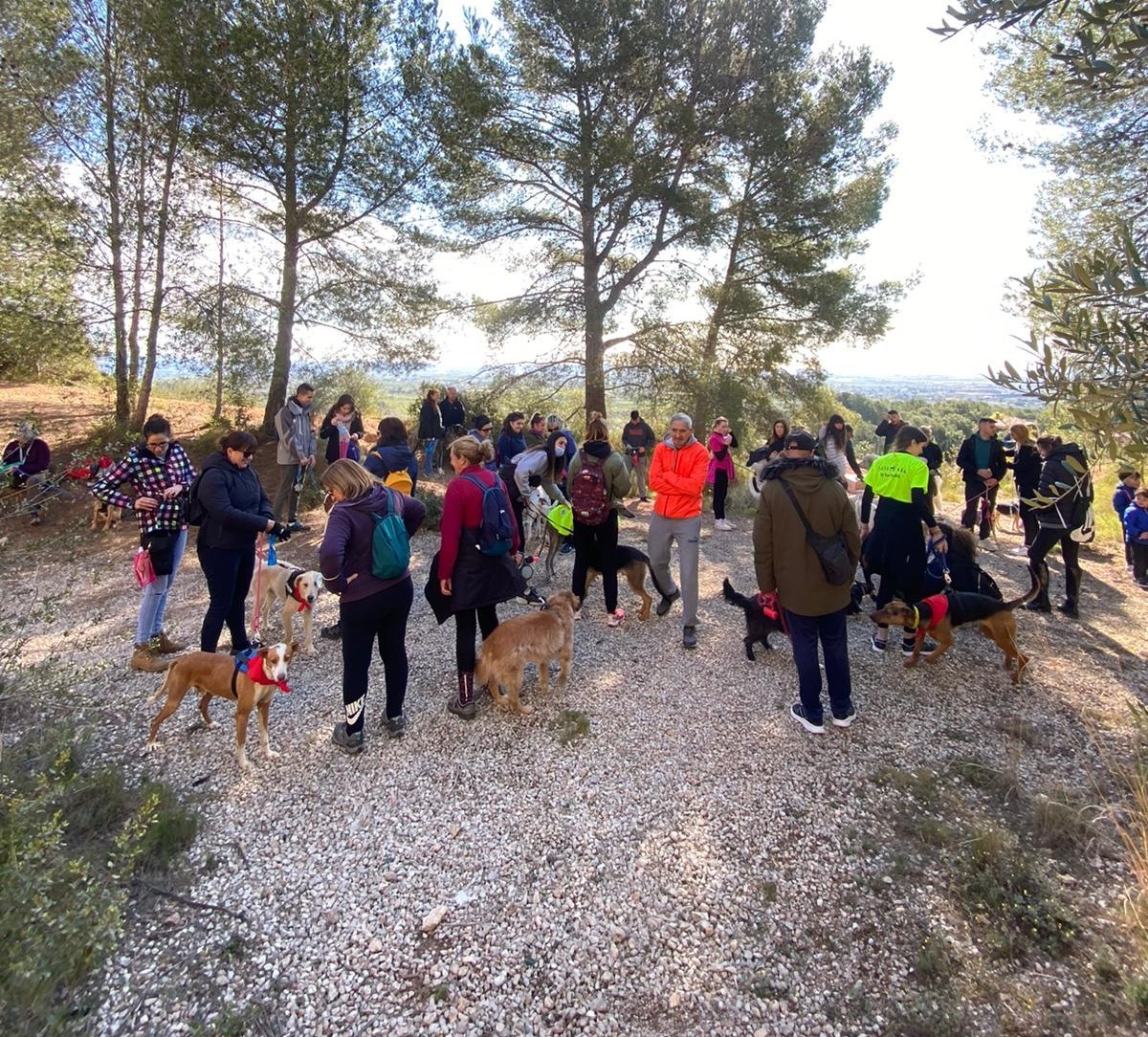 80 persones i 40 gossos en la primera edició del #Castellgos a Castellvell del Camp
