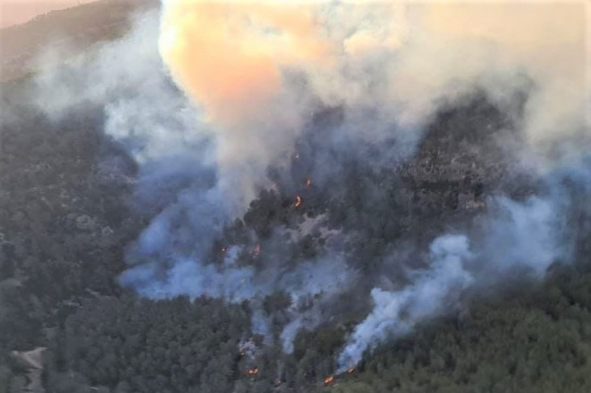 Incendi forestal a Sant Pere de Ribes