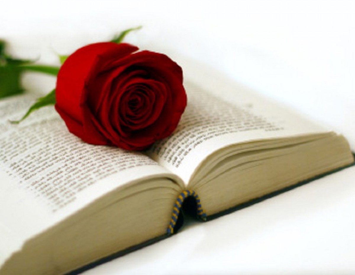 Llibres i roses, per Sant Jordi al Morell