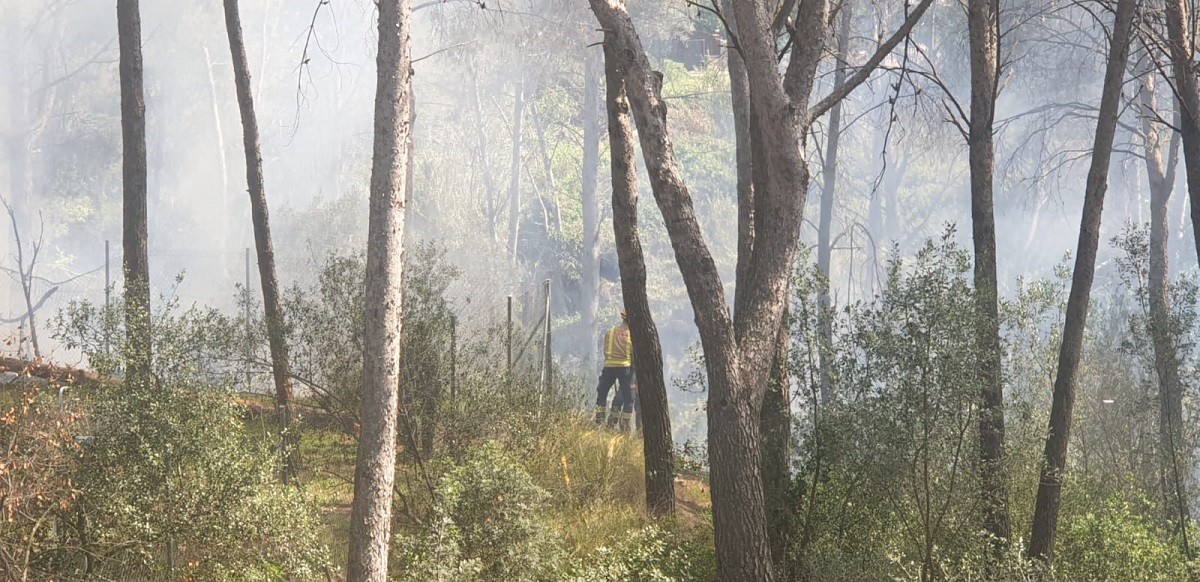 L'incendi al carrer Cava ha cremat 1.200 metres quadrats de vegetació forestal