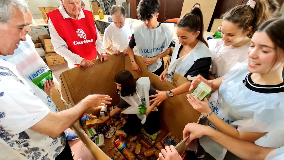 Més de 500 voluntaris han participat en la novena edició de la recollida d'aliments a Tortosa  