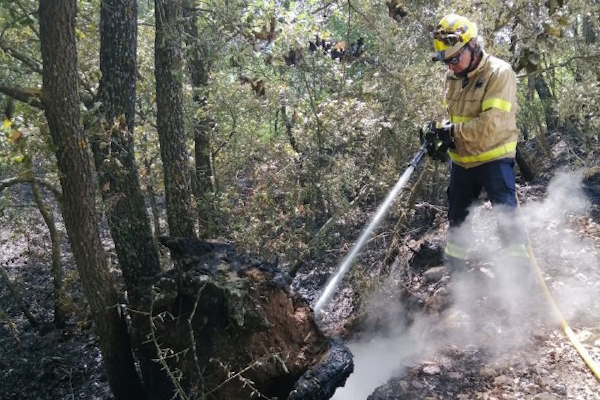 Un bomber extingint l'incendi entre Sant Martí de Barcedana i Sant Cristòfol de la Vall