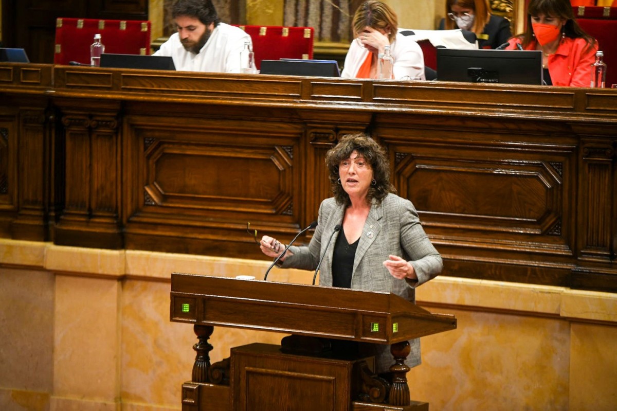 La consellera d’Acció Climàtica, Alimentació i Agenda Rural, Teresa Jordà presentant l'Estratègia Delta al Parlament 
