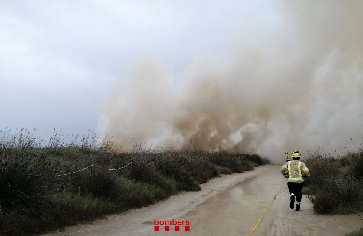 Bombers treballant en l'incendi de vegetació que ha cremat un canyar al terme municipal de Deltebre 