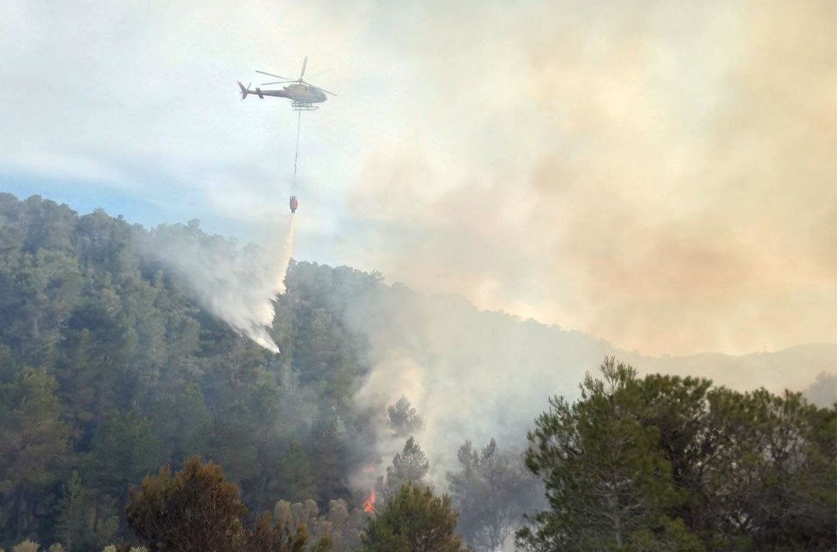 L'incendi que s'ha declarat este dilluns a la tarda a la Serra de la Fatarella, al terme d'Ascó