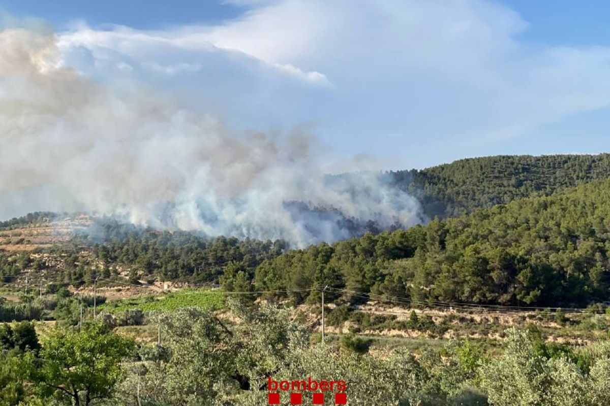 Incendi foretal a Vilalba dels Arcs, Terra Alta. 