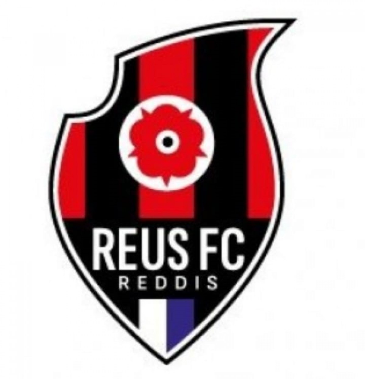 Imatge del nou escut del club