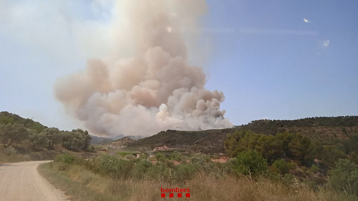 Incendi forestal a Corbera d'Ebre
