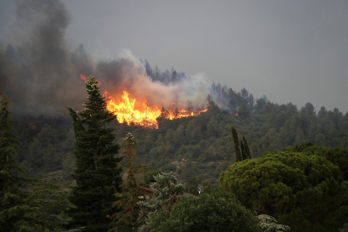 Les flames a l'incendi d'Artesa de Segre