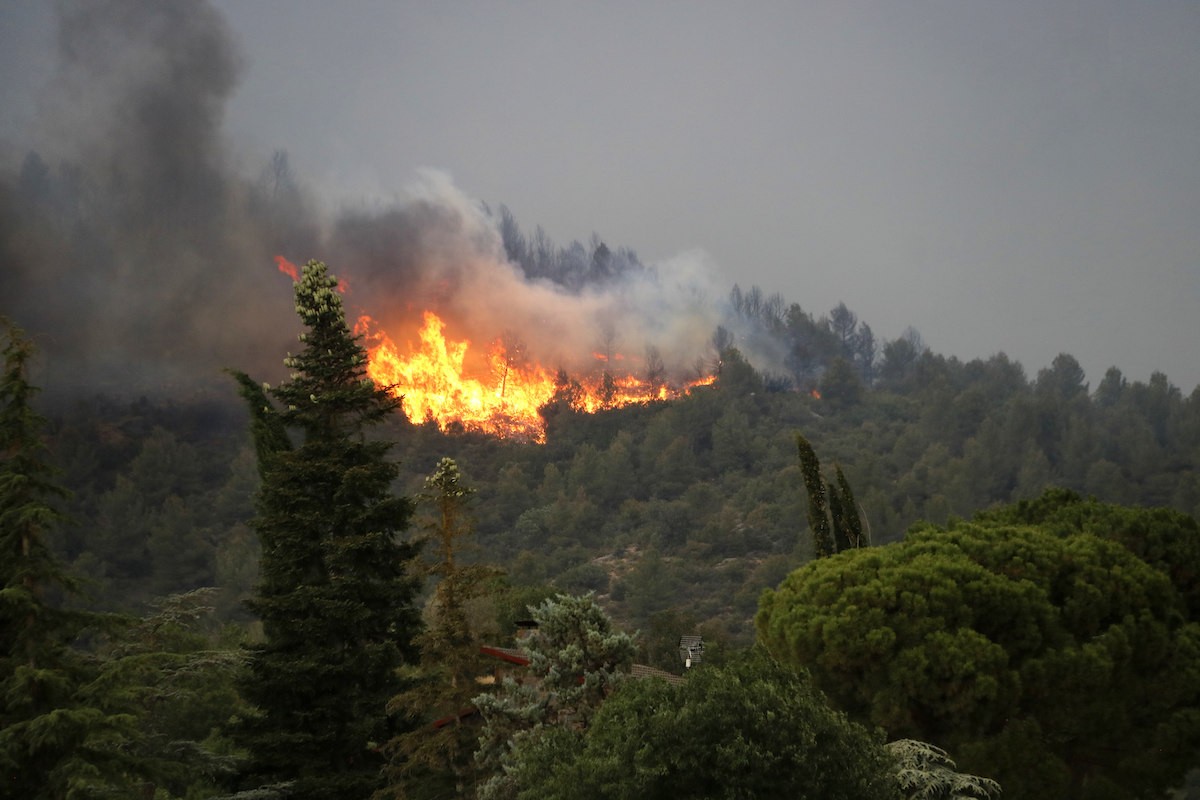 Imatge del foc d'Artesa de Segre, aquest dimecres