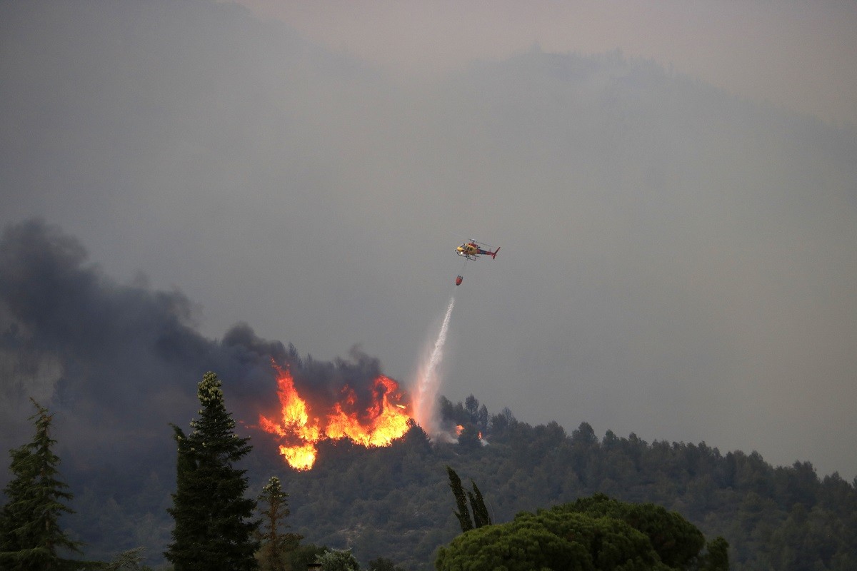 L'incendi d'aquest estiu a Artesa de Segre ha estat dels més devastadors dels darrers anys