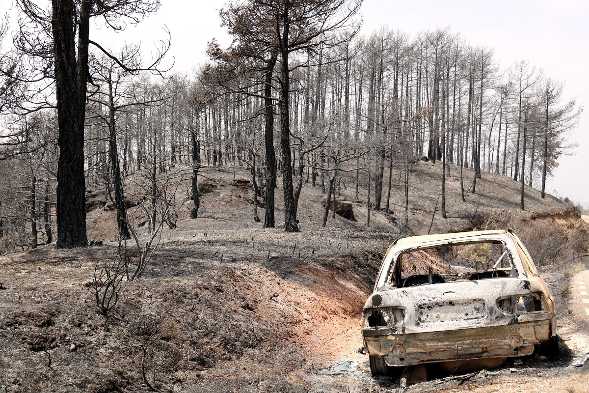 El foc va arrasar el bosc i algun cotxe a Castellar de la Ribera
