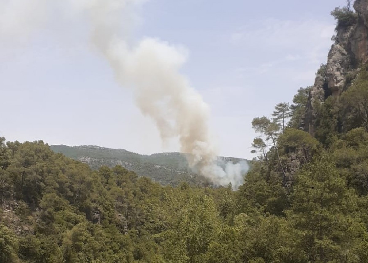 Vista de la columna de fum de l'incendi