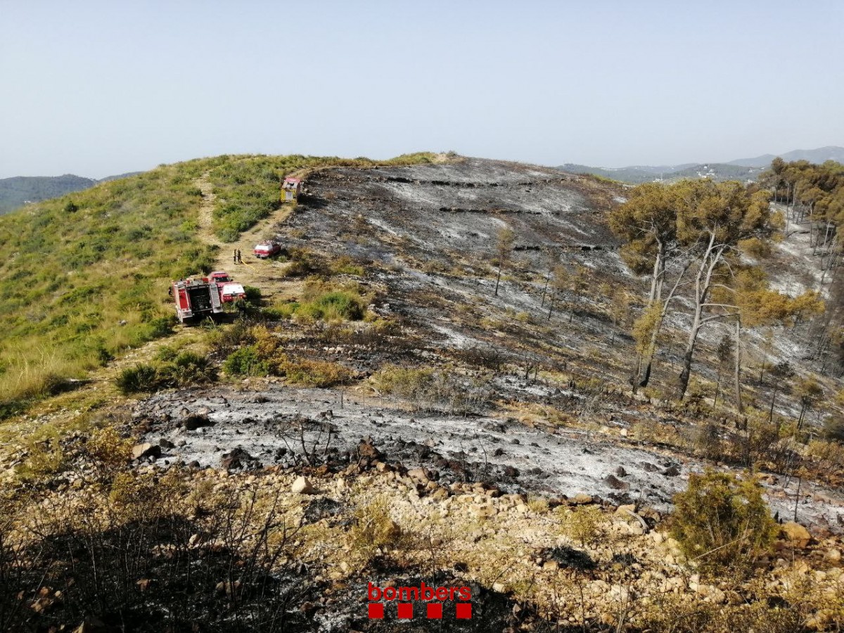 La zona de l'incendi de Baldomar, a Artesa de Segre, declarada zona catastròfica