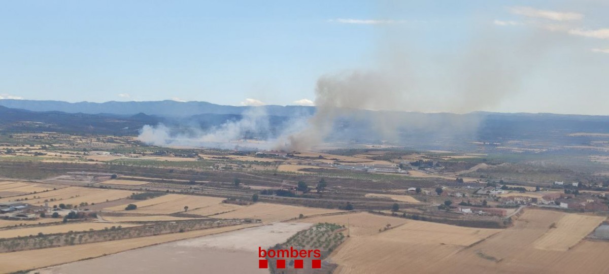 L'incendi, al terme municipal d'Arbeca.