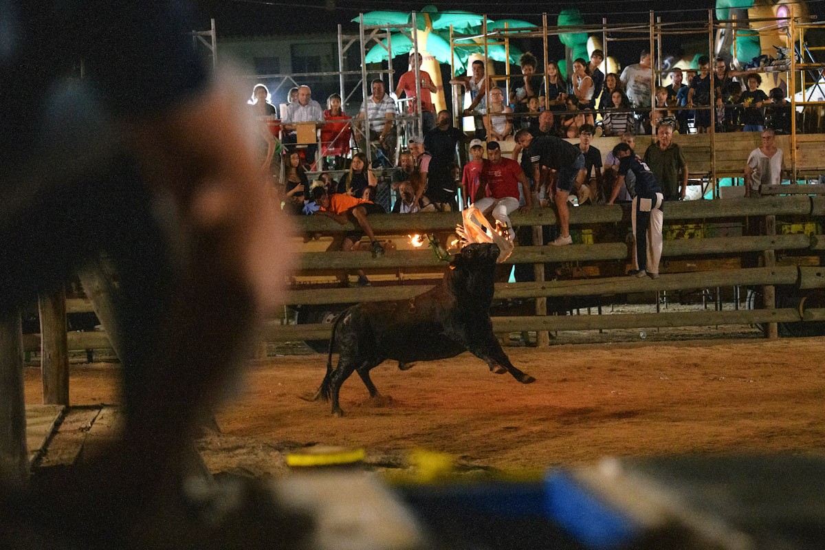 Un bou embolat du una samarreta sobre les boles de foc en una celebració a la plaça de Lligallo del Gànguil  