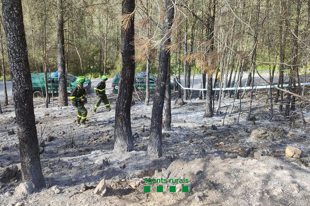  Agents Rurals investigant les causes de l'incendi forestal d'Olivella.