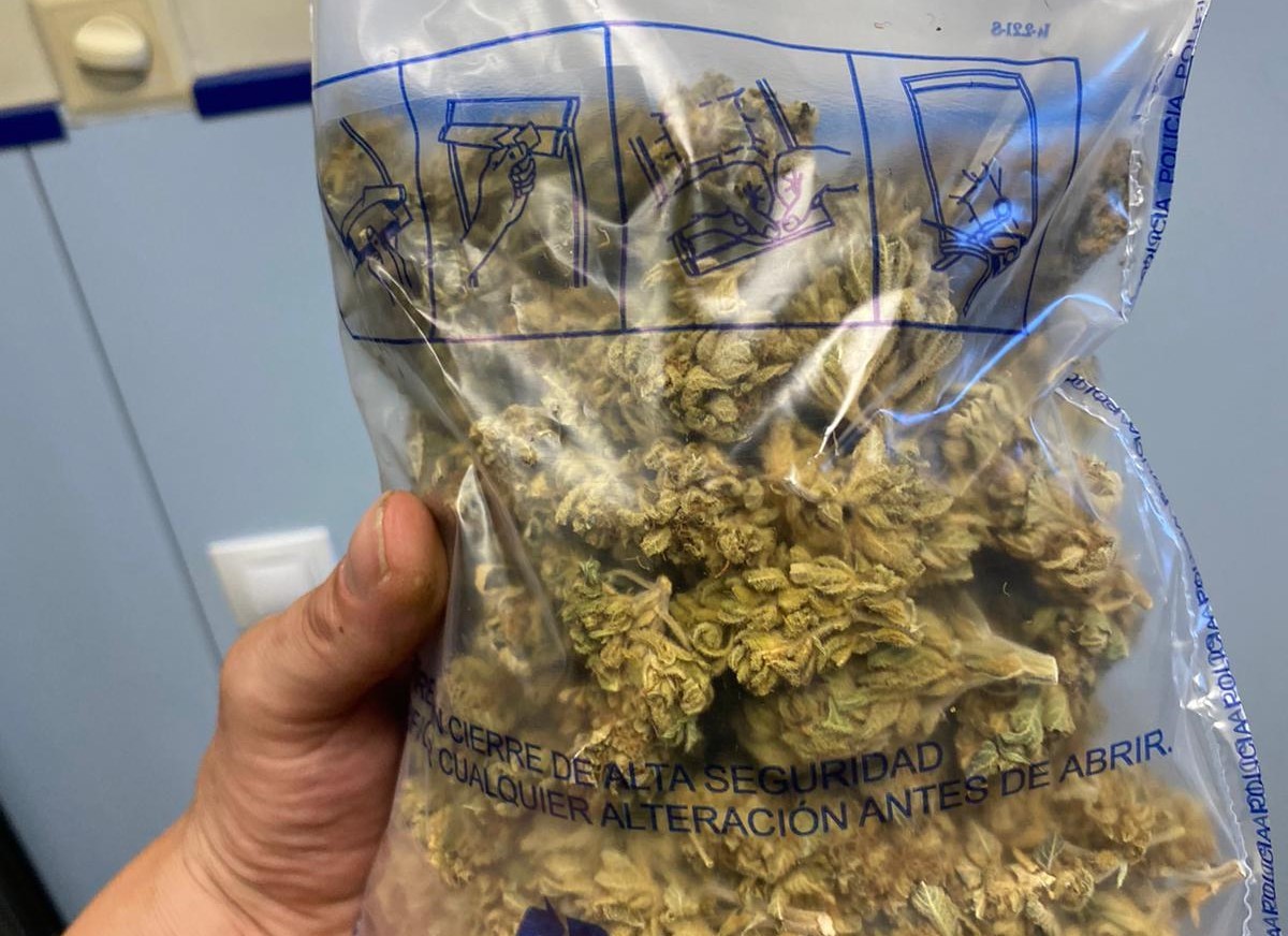 Detall d'una bossa amb cabdells de marihuana