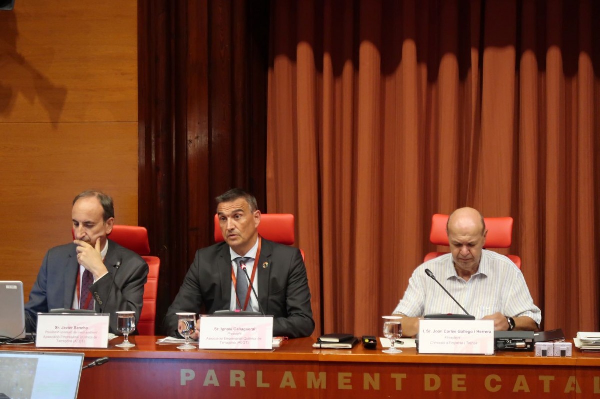 Representants de l'AEQT han exposat al Parlament la tasca de l'associació