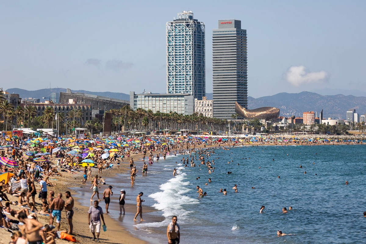 L'OCU alerta Barcelona per l'acumulació d'excrements de gossos a les platges