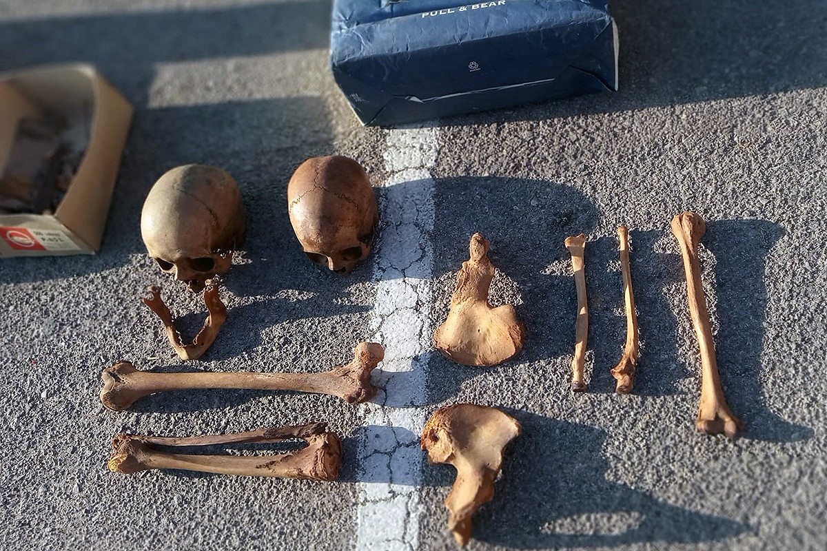 Els ossos que van trobar-se en un contenidor de Vic.
