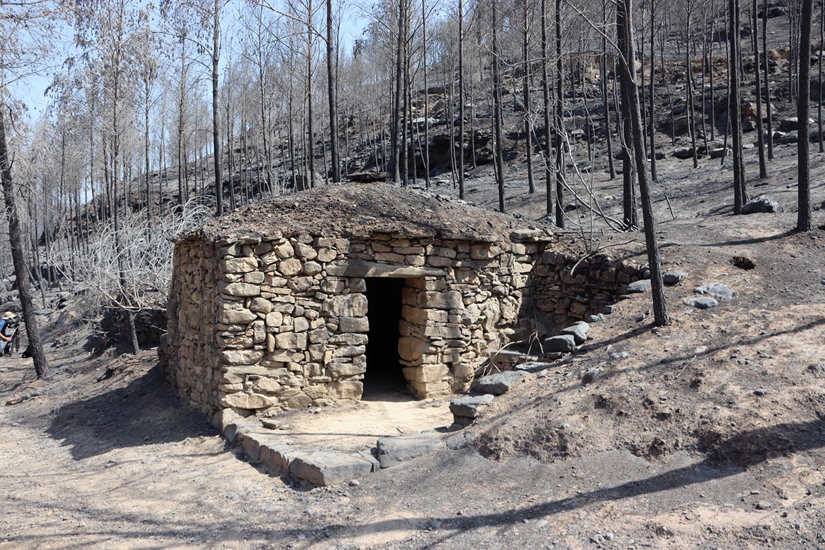 Una barraca de pedra seca, al mig d'un bosc cremat