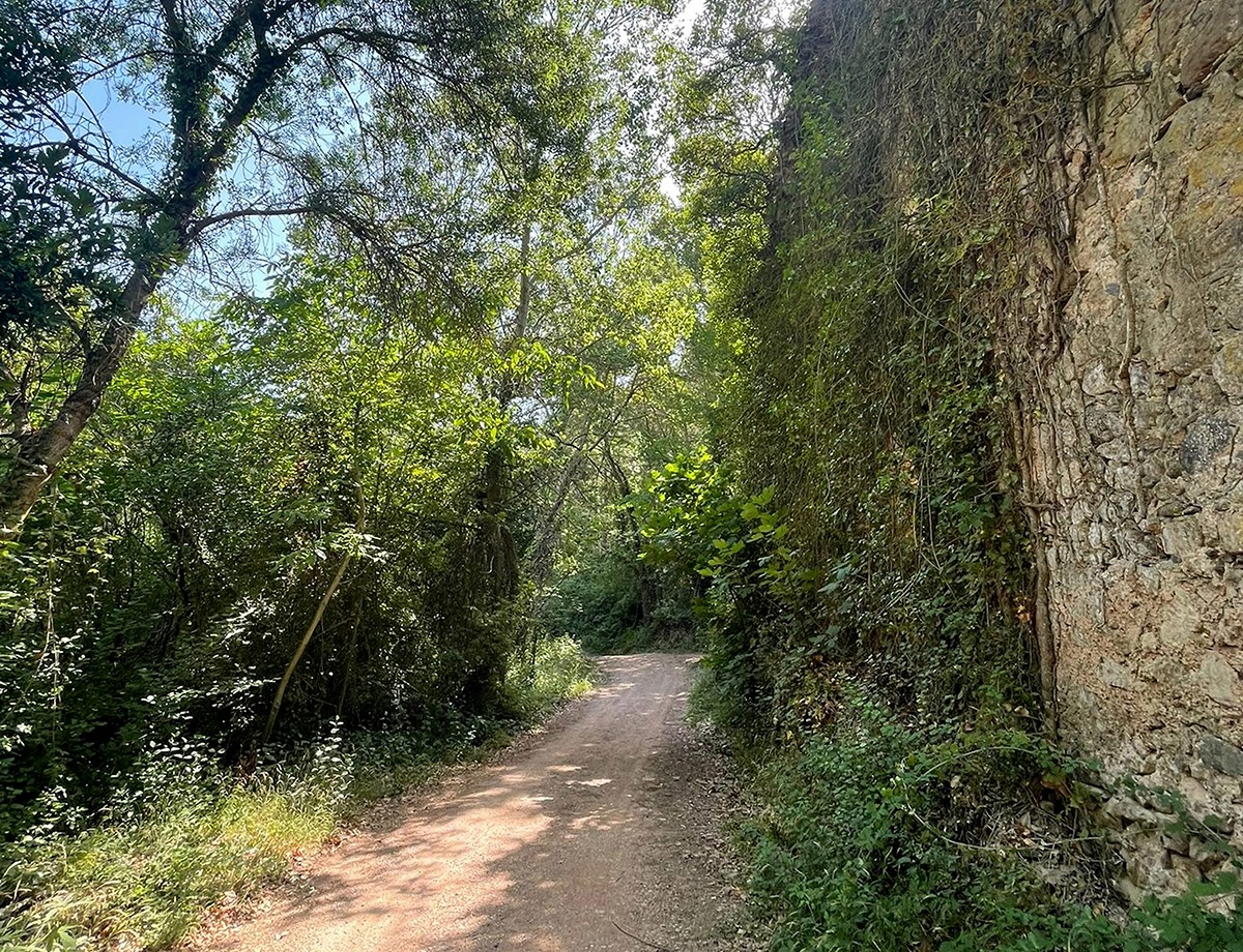 Un dels camins de la Vall de Lladrons, adquirida per l'Ajuntament de Montblanc.
