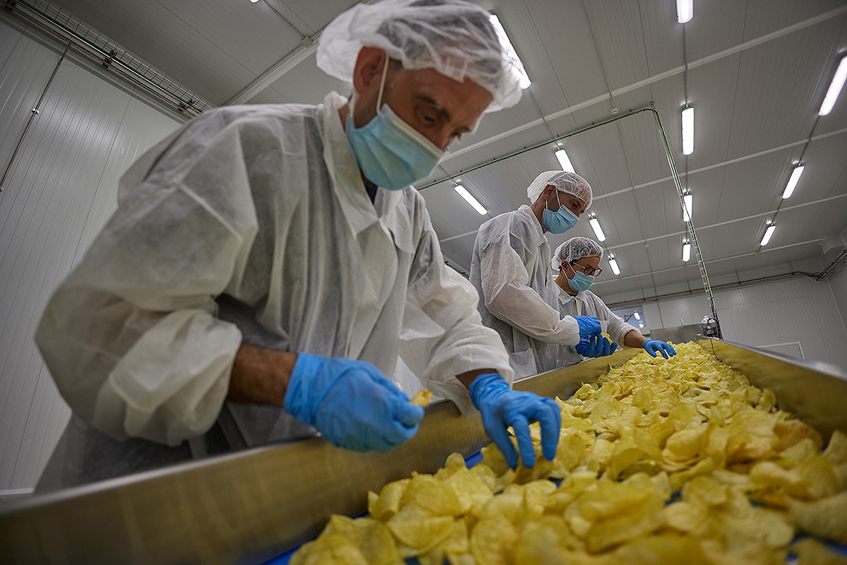 Les patates de bossa de Sant Tomàs es comercialitzaran a partir d’aquest agost.
