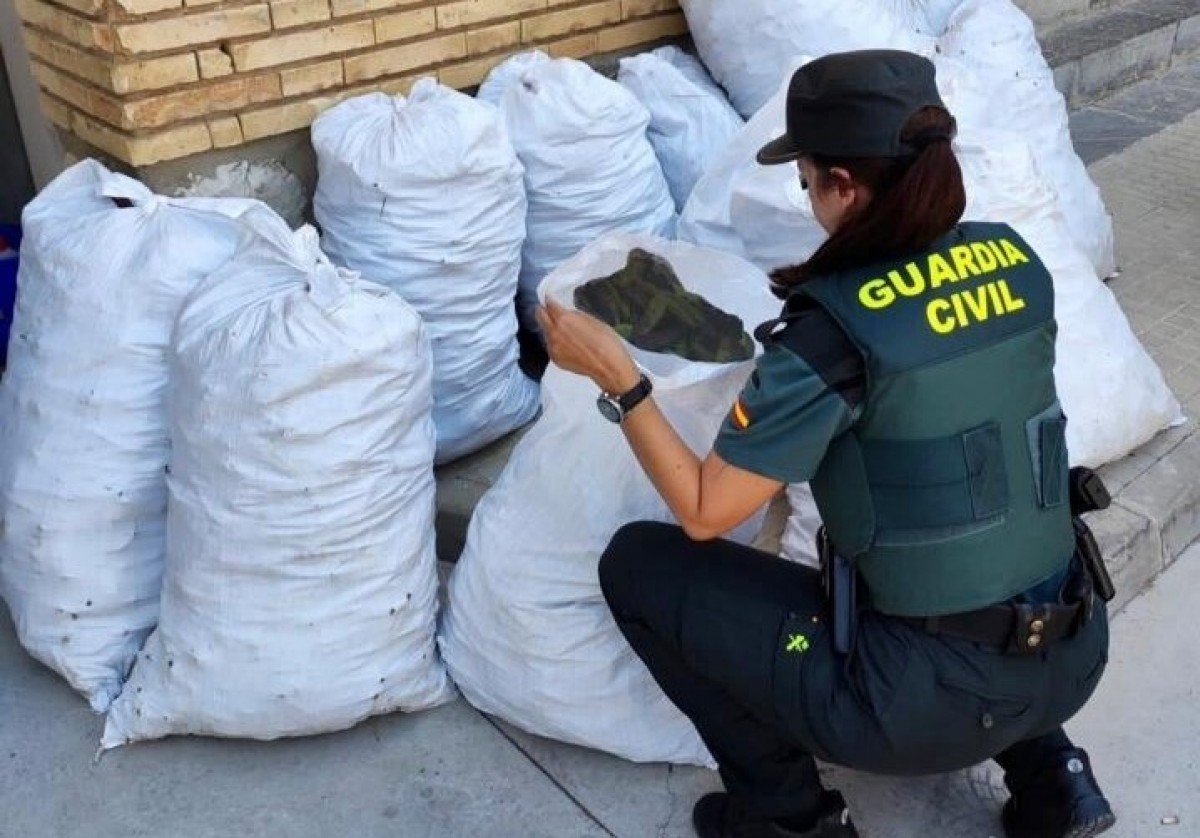 S'hi van intervenir 445 kg de garrofes en sacs, preparats per a la venda