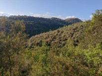 Vés a: Un estudi detecta compostos químics provinents del trànsit de Barcelona al Parc Natural del Montseny 
