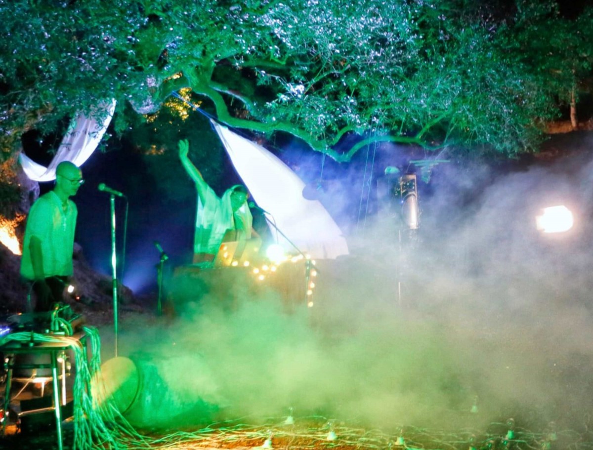 Espectacle entre oliveres, dins la proposta musical del fesitval iber Tyrika d'Alcanar, l'any passat