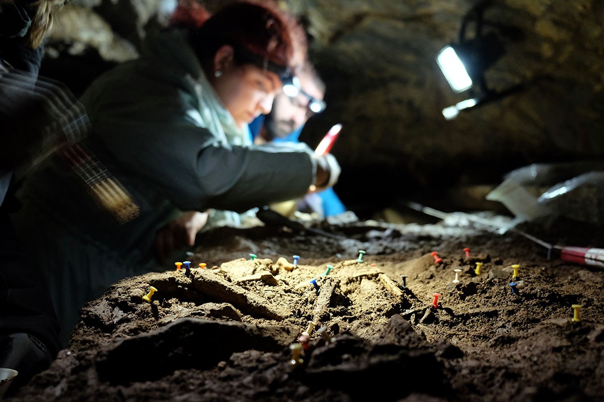 Un grup d'arqueòlegs treballa al jaciment del Roc de les Orenetes