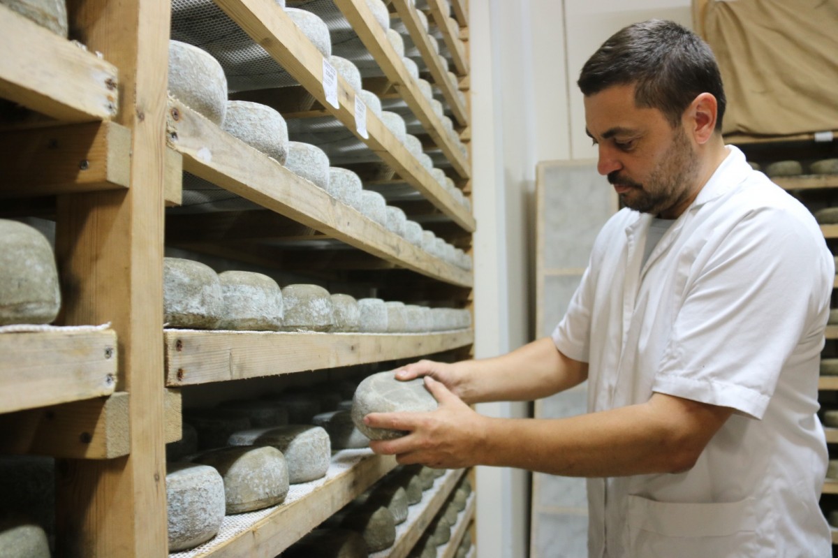 El formatger Josep Martí, president del gremi a Catalunya, fregant uns formatges elaborats a l'empresa familiar que regenta a Albió, nucli de Llorac, a la Conca de Barberà 
