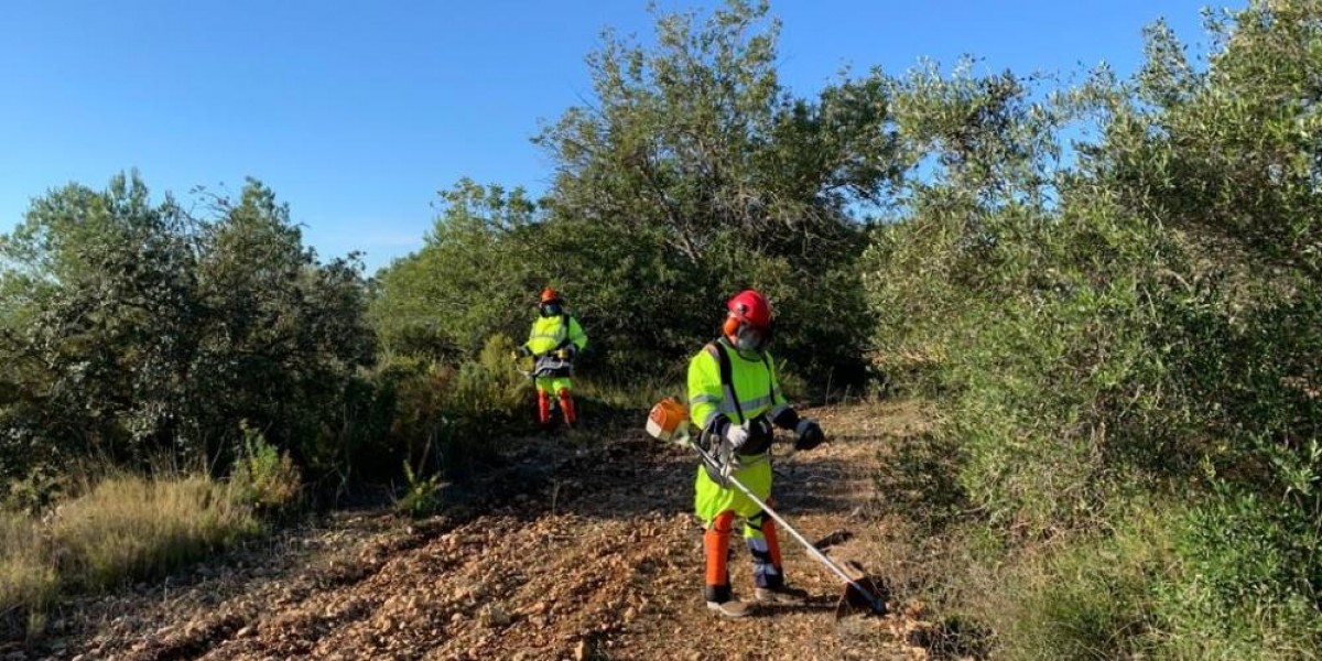 Peons forestals treballant per la prevenció d’incendis en els plans comarcals impulsats per la Diputació de Tarragona 