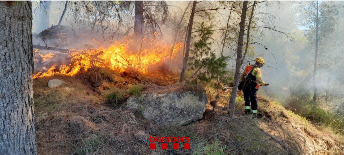 El foc ha afectat 100 m² de pinassa als marges de la C-12 a Xerta